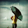 雨碎清秋听晓寒