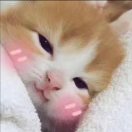 遥不可及