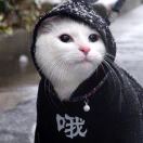 伊景荨
