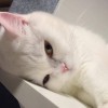 伴我笑i
