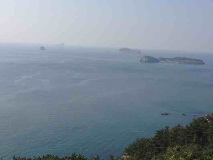 成语君