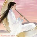 花与蜂