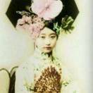 梦之泪