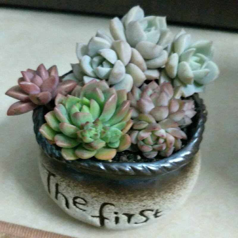 东⛄