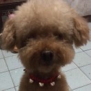 雨后春笋