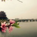 东之歌