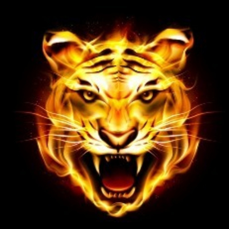  J@CK·Z © 
