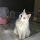 没事看小说，。