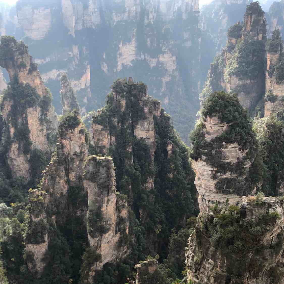 已重置