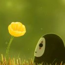 独语斜阑(杨文康)