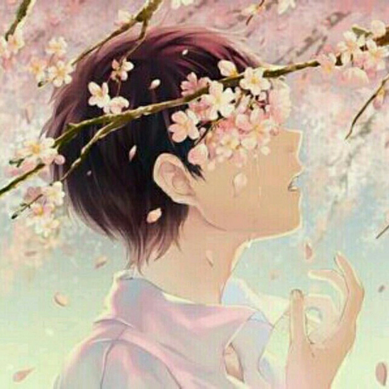 彼岸櫻花开