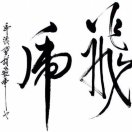 飛虎6266