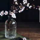 鹏霖