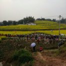 小群