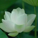 房