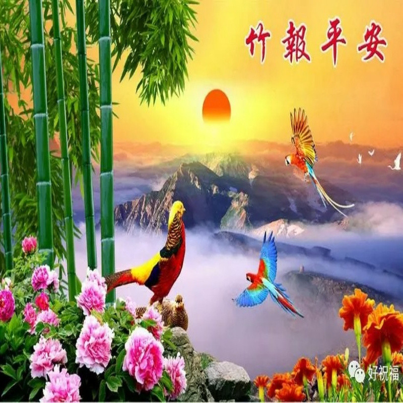 YHD身体健康