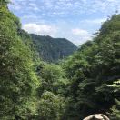 坑坑凼凼