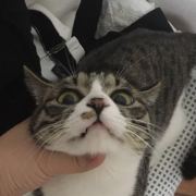 翻白眼少女