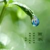 风影月野
