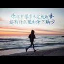 海叔粉丝