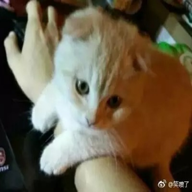 夜语