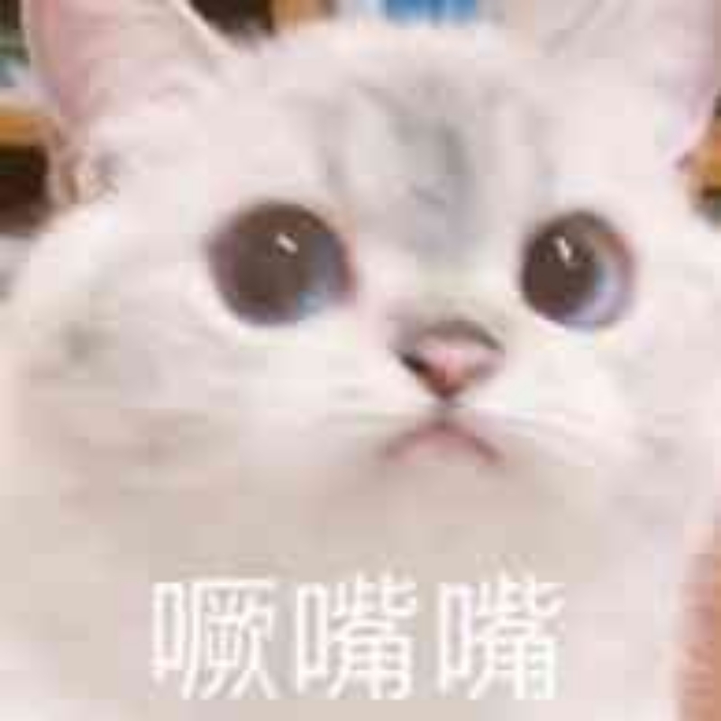 不帅气的猫头