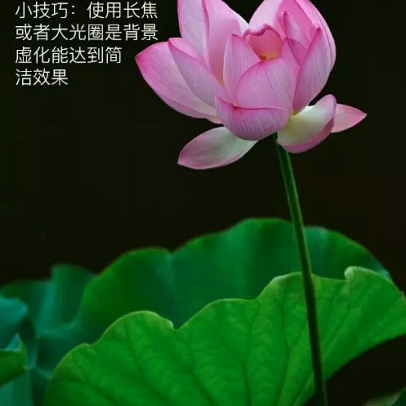 梁山伯