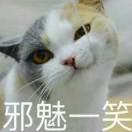 宇宙大猫猫