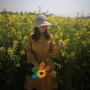 夏小暖儿