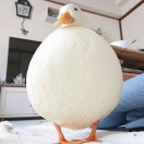 酸西瓜☀