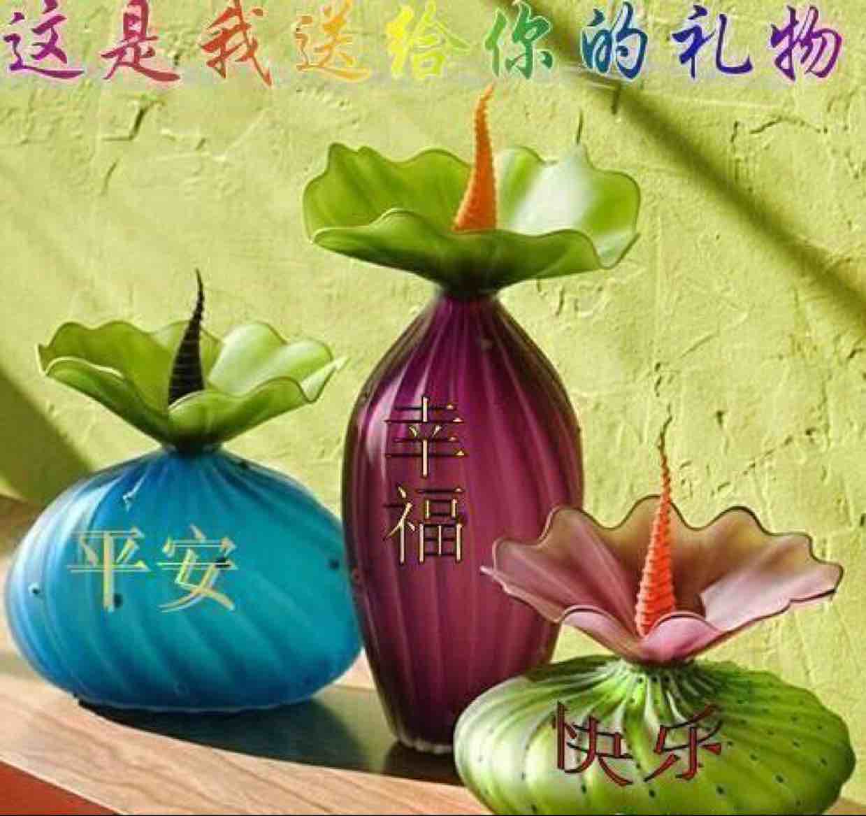  贺贺   