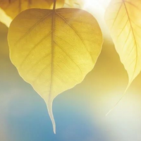 因为美好 所以经历所有