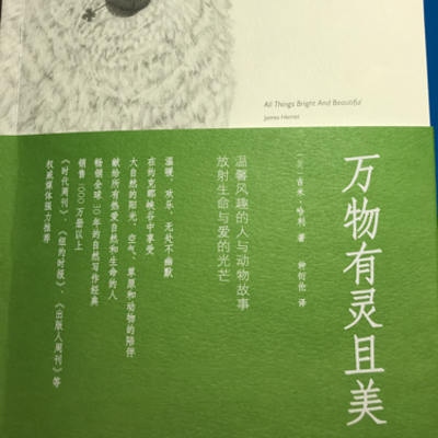 万物有灵且美