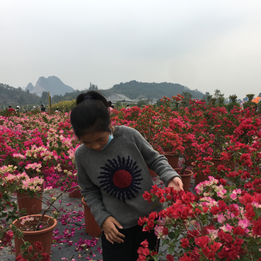 小曼姐姐讲四大名著