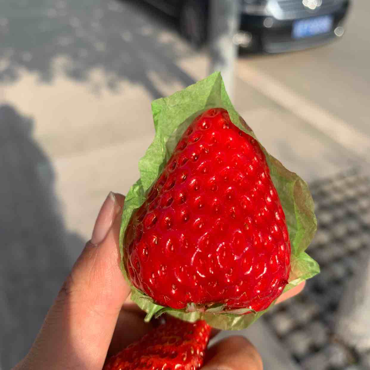 上帝宝贝?