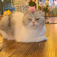 生活小常识