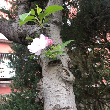 蓝森森