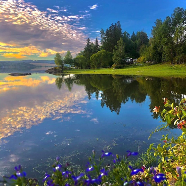 愿你的生活既有善良也有锋芒。
