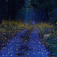 慧慧的暖心短文