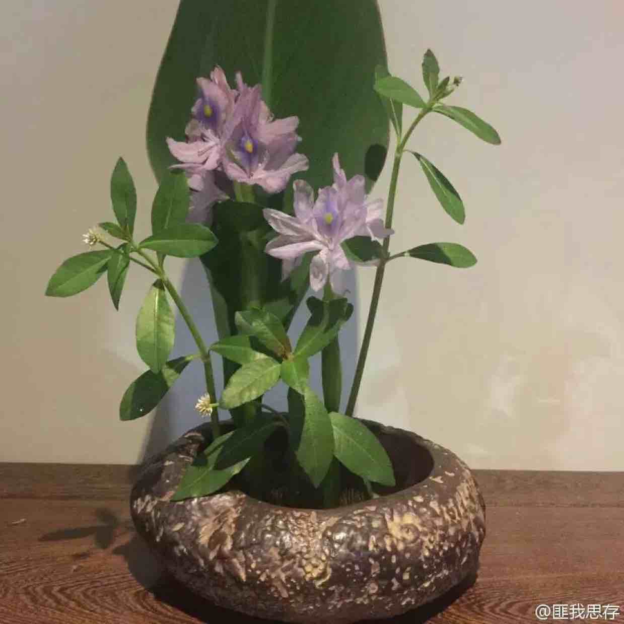 做人一定要谦虚