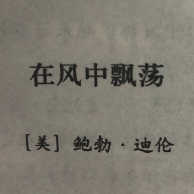 在风中飘荡