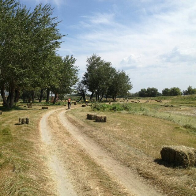 duangduang