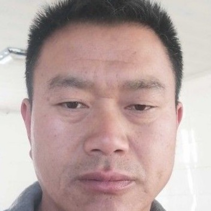 阳光8点半