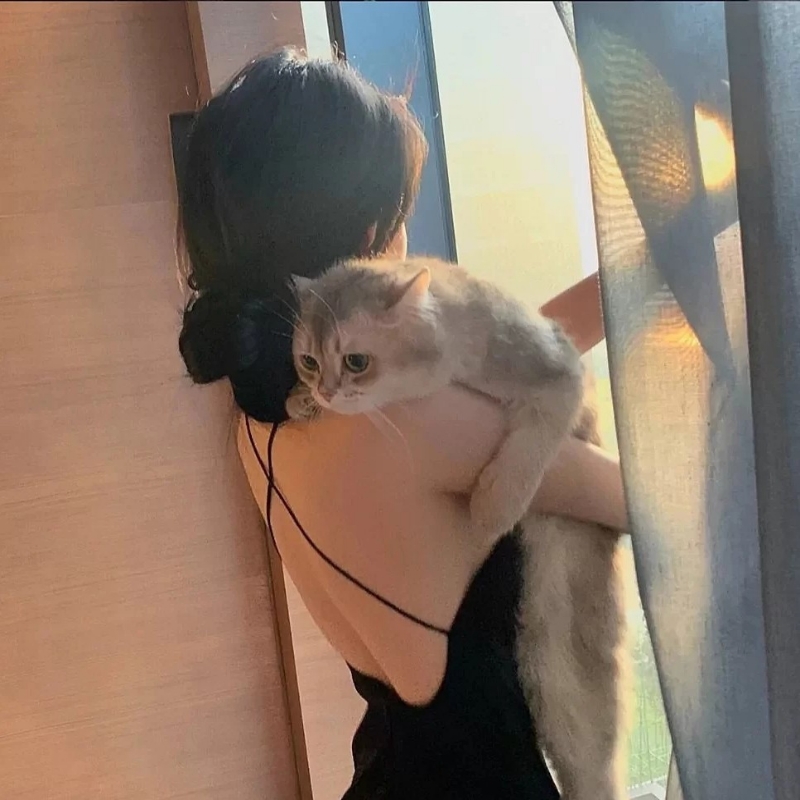 如初'