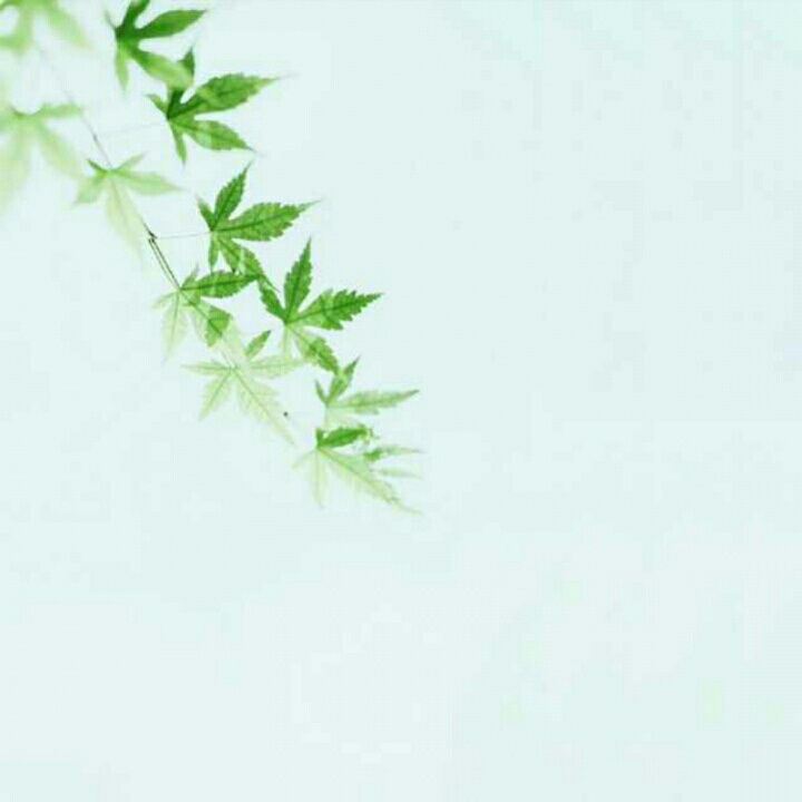 星