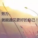 S夜猫