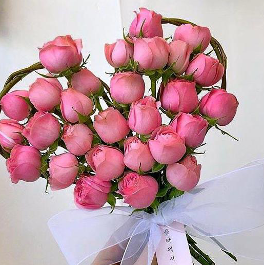 桐桐小可爱❤️