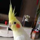 ✪ω✪@qq.com