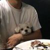 后来