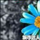 熊伍